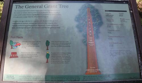 General Grant Information